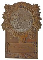 1938. Kéméndy Vándordíj 1938 bronz díjplakett (62x86mm) Újpesti Torna Egyesület 1885 ezüstözött bronz betéttel (35mm), mindét részén Ludvig gyártói jelzéssel. Kéméndi Ernőről, az Újpest első atlétikai bajnokáról nevezték el vándordíjat. Vezetékneve eredetileg i-re végződött, ám egy elírás következtében első sikerei idején Kéméndyként írták le, így részben kabalából, részben sporttevékenységének a tanári hivatásától való megkülönböztetése céljából sportszerepléseiben megtartotta. Kéméndi 1906-ban, 1907-ben és 1909-ben is bajnok lett, utóbbi évben Csehországban is. Emellett futballbíró és mesterfokú sakkozó volt, illetve az I. világháborút is megjárta, az első naptól egészen 1918-ig. T:1-,2