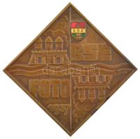 1937. BSE - Foto 1937 bronz emlékplakett a Budapesti Sport Egyesület zománcozott címer-rátétével (46x46mm) T:2
