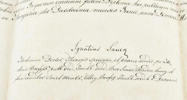 1860 Gráner Dávid (1829-1896) Pest vármegye későbbi, izraelita vallású (religionis mosaicae), zsidó ...