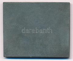 ~1940. "Futura Testedző Egyesület" egyoldalas ezüstözött fém plakett (46x56mm) T:1- kis pa...