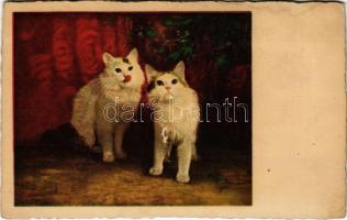 Macskák / Cats. G.O.M. 3342. litho (Rb)