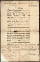 1852 Korneuburg szolgálati bizonyítvány, elbocsájtó levél vászonra kasírozva