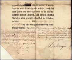 1852 Korneuburg szolgálati bizonyítvány, elbocsájtó levél vászonra kasírozva