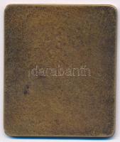 DN "Kaposvári Testedző Vasutasok Egyesülete" bronz sportplakett. Szign.: S (47x56mm) T:2