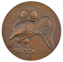 Ligeti Erika (1934-2004) 1986. 425 éves a debreceni nyomdászat kétoldalas, öntött bronz emlékérem (65mm) T:1