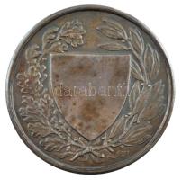 Berán Lajos (1882-1943) ~1930. "Országos Testnevelési Tanács" peremén jelzett, ezüstözött ...