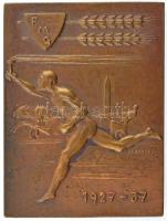 1937. FMG 1927-1937 bronz sportplakett. Szign.: Breznay (35x47mm) T:1- ph.