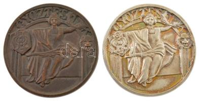 1915. ISTE - Győztesnek kétoldalas, bronz és ezüstözött bronz díjérem (2xklf) Szign.: Csillag T. (46mm) T:1- patina