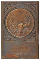 1935. Budapesti Orvosi Kaszinó 1935. IV. 28. bronz emlékplakett (39x59mm) T:2