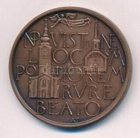 Asszonyi Tamás (1942-) 1991. "Derecske / NO VISTINE LOCVM POTIOREM RVRE BEATO" kétoldalas ...