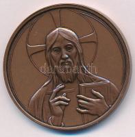 2008. "Biblia éve 2008" kétoldalas bronz emlékérem (42,5mm) T:1