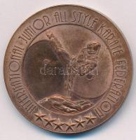 Fritz Mihály (1947-) DN International Junior All Style Karate Federation angol nyelvű, kétoldalas bronz emlékérem (42,5mm) T:1- patina