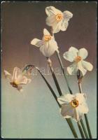 1965 Raj Tamás (1940-2010) szegedi főrabbinak küldött héber nyelvű képeslap