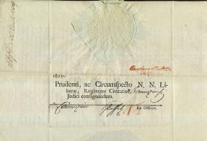 1809 Helytartótanácsi hivatalos levél Darvas Ferenc helytartósági tanácsos, költő saját kezű aláírás...