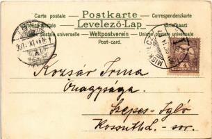 1901 Les quatres Saisons / "The Four Seasons" Lady art postcard, litho s: V. V. (EK)