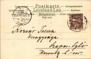 1901 Les quatres Saisons / "The Four Seasons" Lady art postcard, litho s: V. V. (EK)