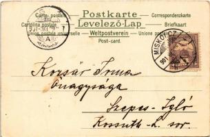 1901 Les quatres Saisons / "The Four Seasons" Lady art postcard, litho s: V. V. (EK)