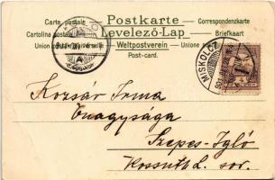 1901 Les quatres Saisons / "The Four Seasons" Lady art postcard, litho s: V. V. (EB)