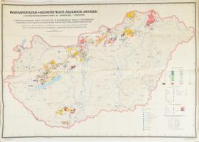 1967 Magyarország hasznosítható ásványos anyagai - II. Nyersanyagelőfordulások és reménybeli területek, nagyméretű térkép, 1 : 500.000, M. Állami Földtani Intézet, lapszéli szakadással, 105x75 cm