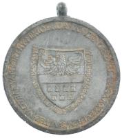 1940. "Erdélyi részek felszabadulásának emlékére" Zn emlékérem mellszalag nélkül. Szign.:B...