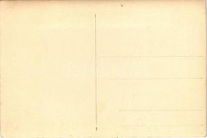 Budapest XII. Jánoshegy, Erzsébet kilátótorony. photo