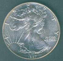 USA 1987. 1$/1oz Ag "Liberty" T:1