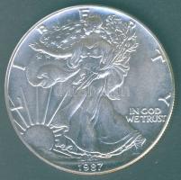 USA 1987. 1$/1oz Ag "Liberty" T:1