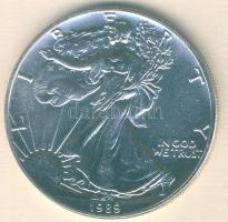 USA 1989. 1$/1oz Ag "Liberty" T:1