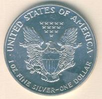 USA 1989. 1$/1oz Ag "Liberty" T:1