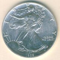 USA 1989. 1$/1oz Ag "Liberty" T:1