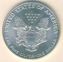 USA 1989. 1$/1oz Ag "Liberty" T:1