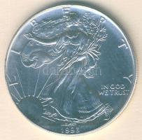 USA 1993. 1$/1oz Ag "Liberty" T:1