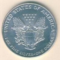 USA 1993. 1$/1oz Ag "Liberty" T:1