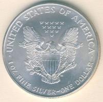 USA 1995. 1$/1oz Ag "Liberty" T:1