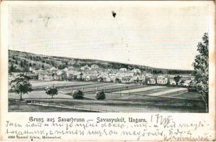 1901 Savanyúkút, Bad Sauerbrunn; Samuel Schön 4960.