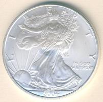 USA 2004. 1$/1oz Ag "Liberty" T:1