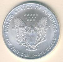 USA 2004. 1$/1oz Ag "Liberty" T:1