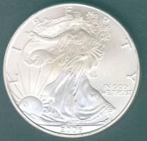 USA 2006. 1$/1oz Ag "Liberty" T:1