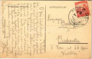 1918 Fenyőháza, Lubochna; park, híd. Holczmann I. kiadása / park, bridge (ázott / wet damage)