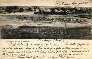 1905 Kishegyes, Mali Idos; látkép a vasútról, kerékpár. Halász Ferenc kiadása / general view from the railway station, bicycles, cattle (fl)