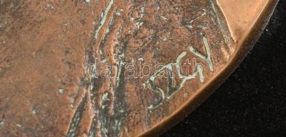 Szathmáry Gyöngyi (1940- ): Dr. Kulka Frigyes mellkassebész, tüdőgyógyász szakorvos, egyetemi profes...