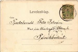 1905 Budakeszi, látkép, templom. Stern Jacab kiadása (Rb)