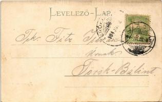 1904 Vác, Duna-parti korzó. Mayer Sándor kiadása (EK)