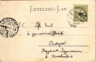 1905 Vác, Szentháromság szobor és piaristák temploma. Mayer Sándor kiadása (Rb)