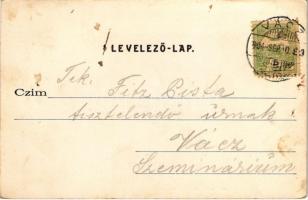 1904 Vác, Szentháromság szobor. Divald Károly 596. sz. (fl)