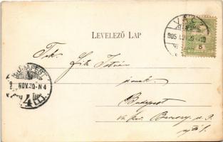 1905 Vác, Kegyes-rendi főgimnázium. Divald Károly 598. sz. (b)