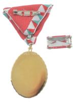 2002. "A Szolgálati Jel arany fokozata" kitüntetés, mellszalagon, szalagsávval, eredeti dí...