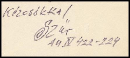 Szűr Szabó József (1902-1993): A "Disznófejű nagyúr"-ral folytatott harcban (...), 1974 (k...