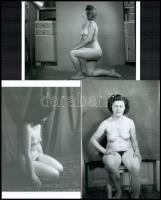 Akt felvételek az 1970-es évekből, vegyes kollekció, 9 db mai nagyítás, 15x10 cm