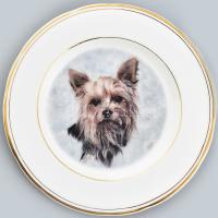 Yorkshire Terrier mintás porcelán tányér, jelzett, hibátlan, d: 17 cm